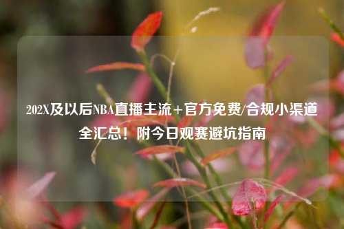202X及以后NBA直播主流+官方免费/合规小渠道全汇总！附今日观赛避坑指南
