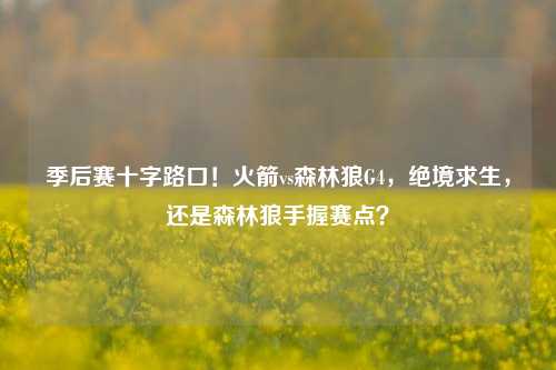 季后赛十字路口！火箭vs森林狼G4，绝境求生，还是森林狼手握赛点？