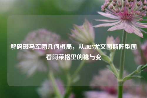 解码斑马军团几何棋局，从2025尤文图斯阵型图看阿莱格里的稳与变