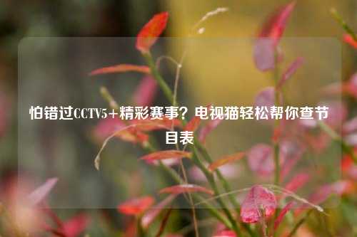 怕错过CCTV5+精彩赛事？电视猫轻松帮你查节目表