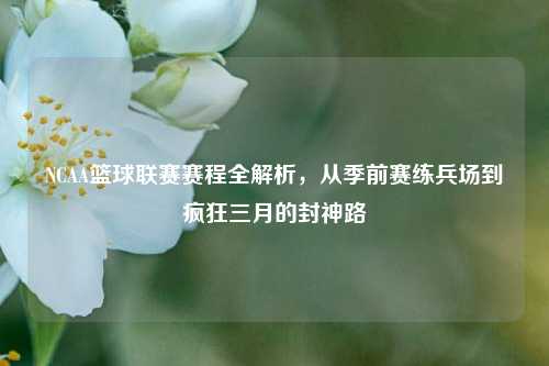NCAA篮球联赛赛程全解析，从季前赛练兵场到疯狂三月的封神路