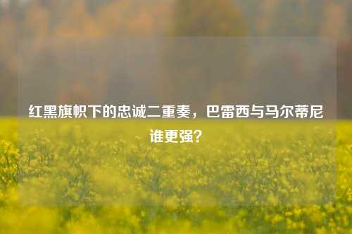 红黑旗帜下的忠诚二重奏，巴雷西与马尔蒂尼谁更强？