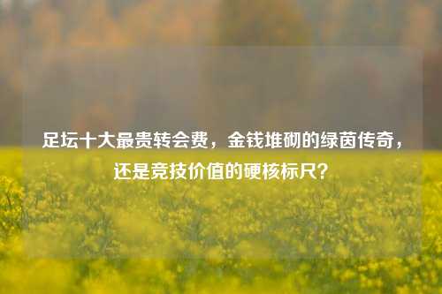 足坛十大最贵转会费，金钱堆砌的绿茵传奇，还是竞技价值的硬核标尺？