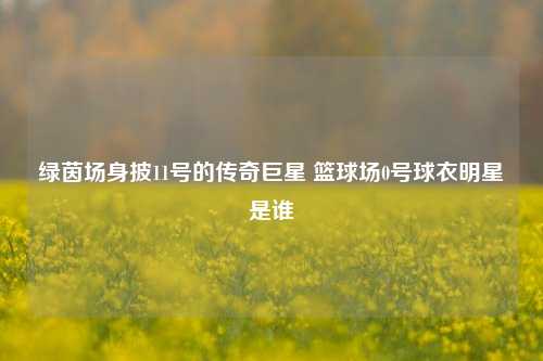 绿茵场身披11号的传奇巨星 篮球场0号球衣明星是谁