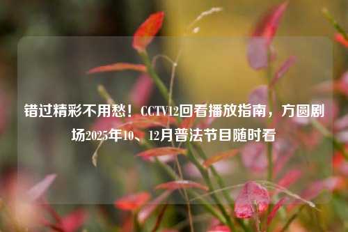 错过精彩不用愁！CCTV12回看播放指南，方圆剧场2025年10、12月普法节目随时看