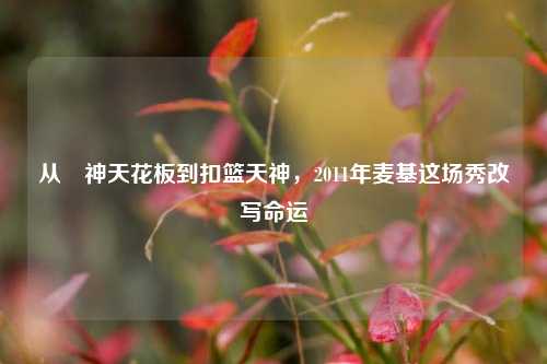 从囧神天花板到扣篮天神，2011年麦基这场秀改写命运