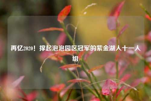 再忆2020！撑起泡泡园区冠军的紫金湖人十一人组