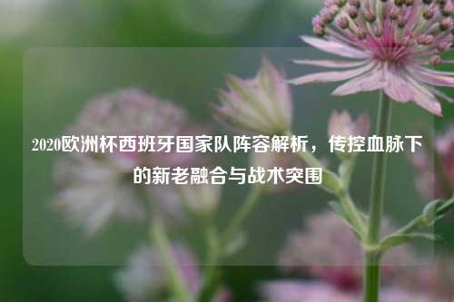 2020欧洲杯西班牙国家队阵容解析，传控血脉下的新老融合与战术突围