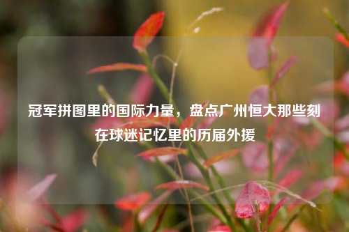 冠军拼图里的国际力量，盘点广州恒大那些刻在球迷记忆里的历届外援