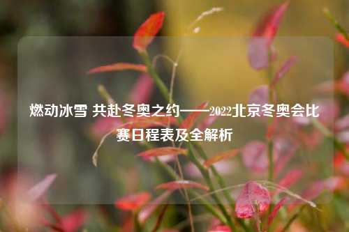 燃动冰雪 共赴冬奥之约——2022北京冬奥会比赛日程表及全解析