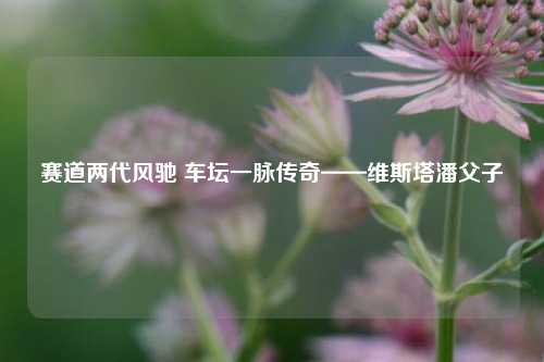 赛道两代风驰 车坛一脉传奇——维斯塔潘父子