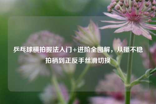 乒乓球横拍握法入门+进阶全图解，从攥不稳拍柄到正反手丝滑切换