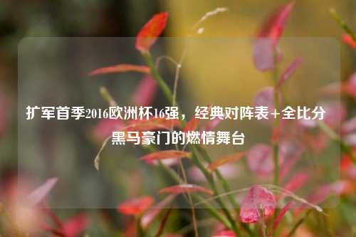 扩军首季2016欧洲杯16强，经典对阵表+全比分 黑马豪门的燃情舞台