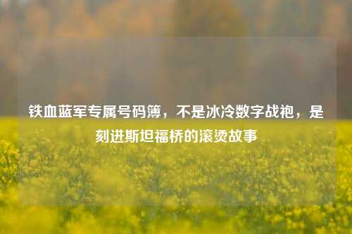 铁血蓝军专属号码簿，不是冰冷数字战袍，是刻进斯坦福桥的滚烫故事