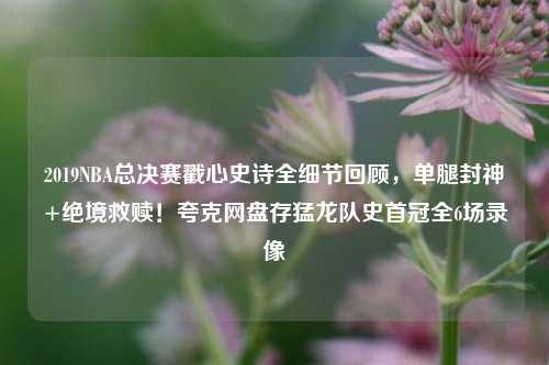 2019NBA总决赛戳心史诗全细节回顾，单腿封神+绝境救赎！夸克网盘存猛龙队史首冠全6场录像