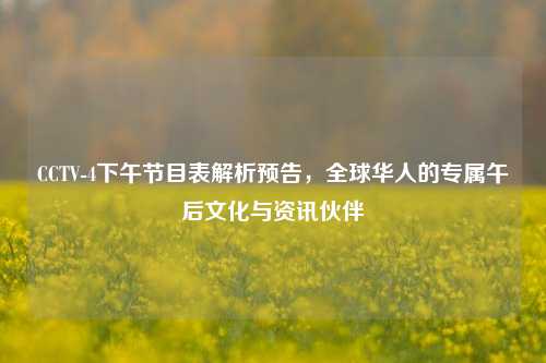 CCTV-4下午节目表解析预告，全球华人的专属午后文化与资讯伙伴