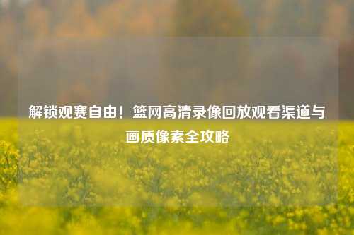 解锁观赛自由！篮网高清录像回放观看渠道与画质像素全攻略