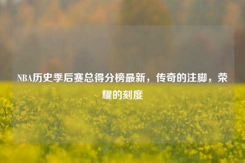 NBA历史季后赛总得分榜最新，传奇的注脚，荣耀的刻度