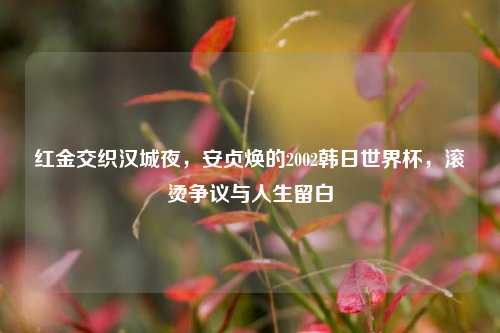 红金交织汉城夜，安贞焕的2002韩日世界杯，滚烫争议与人生留白
