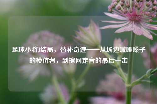 足球小将J结局，替补奇迹——从场边喊哑嗓子的模仿者，到擦网定音的最后一击