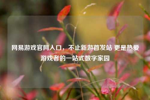 网易游戏官网入口，不止新游首发站 更是热爱游戏者的一站式数字家园