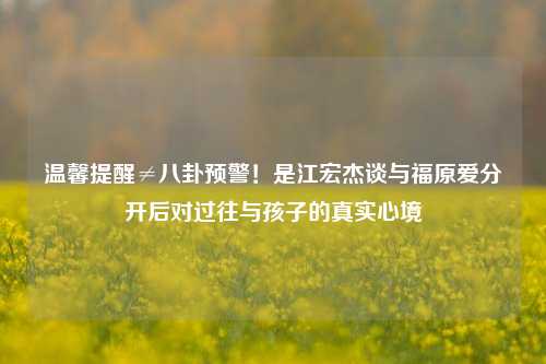 温馨提醒≠八卦预警！是江宏杰谈与福原爱分开后对过往与孩子的真实心境