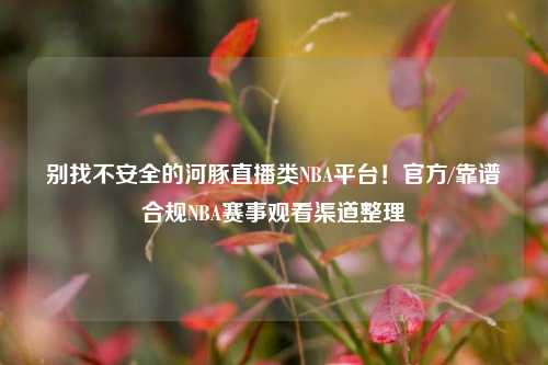 别找不安全的河豚直播类NBA平台！官方/靠谱合规NBA赛事观看渠道整理