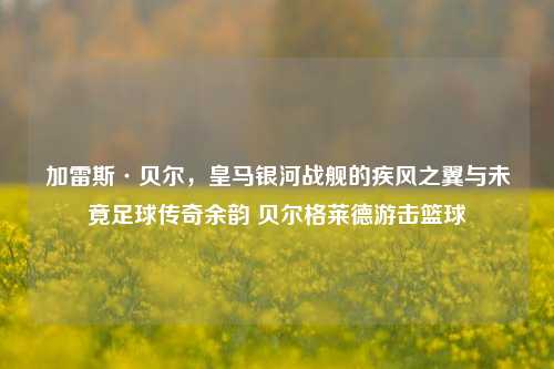 加雷斯·贝尔，皇马银河战舰的疾风之翼与未竟足球传奇余韵 贝尔格莱德游击篮球