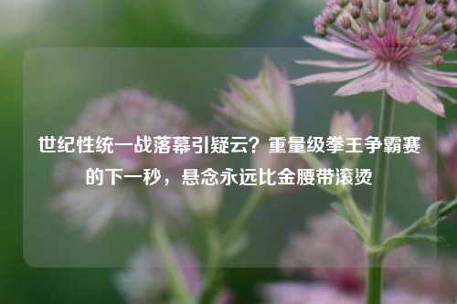 世纪性统一战落幕引疑云？重量级拳王争霸赛的下一秒，悬念永远比金腰带滚烫