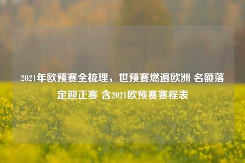 2021年欧预赛全梳理，世预赛燃遍欧洲 名额落定迎正赛 含2021欧预赛赛程表