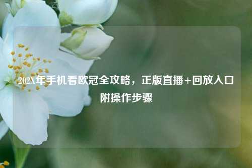 202X年手机看欧冠全攻略，正版直播+回放入口附操作步骤
