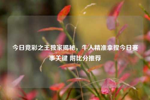 今日竞彩之王独家揭秘，牛人精准拿捏今日赛事关键 附比分推荐