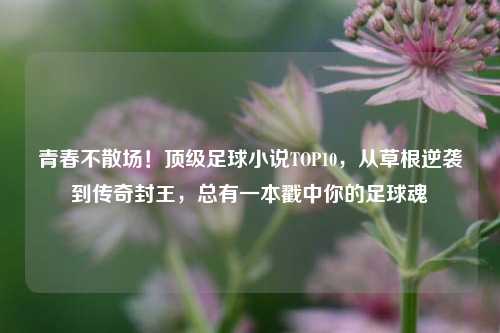 青春不散场！顶级足球小说TOP10，从草根逆袭到传奇封王，总有一本戳中你的足球魂