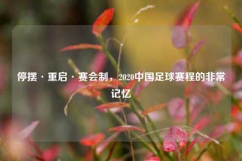 停摆·重启·赛会制，2020中国足球赛程的非常记忆
