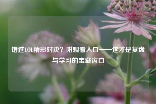 错过LOL精彩对决？附观看入口——这才是复盘与学习的宝藏窗口