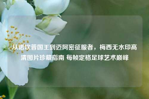 从诺坎普国王到迈阿密征服者，梅西无水印高清图片珍藏指南 每帧定格足球艺术巅峰
