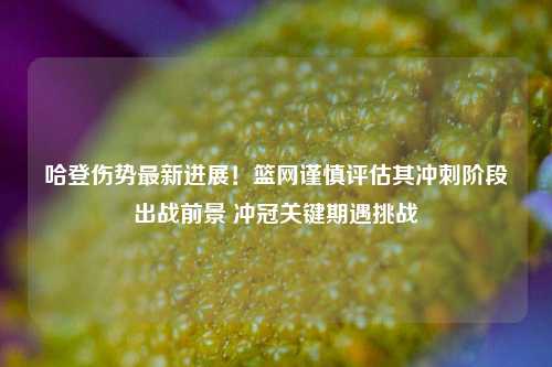 哈登伤势最新进展！篮网谨慎评估其冲刺阶段出战前景 冲冠关键期遇挑战