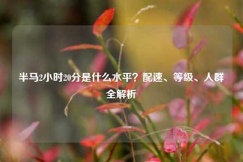半马2小时20分是什么水平？配速、等级、人群全解析