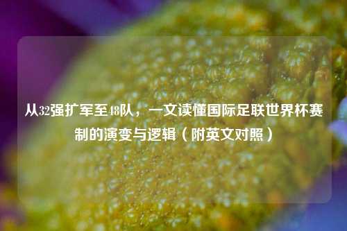 从32强扩军至48队，一文读懂国际足联世界杯赛制的演变与逻辑（附英文对照）