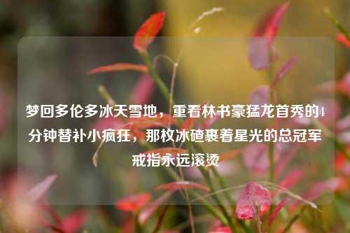 梦回多伦多冰天雪地，重看林书豪猛龙首秀的4分钟替补小疯狂，那枚冰碴裹着星光的总冠军戒指永远滚烫