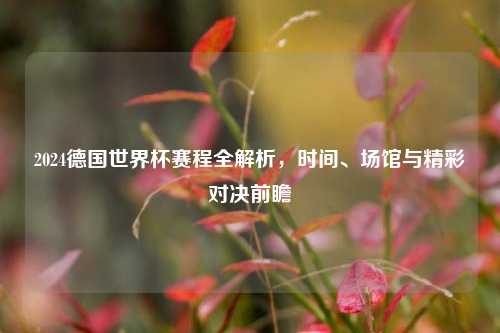 2024德国世界杯赛程全解析,时间、场馆与精彩对决前瞻