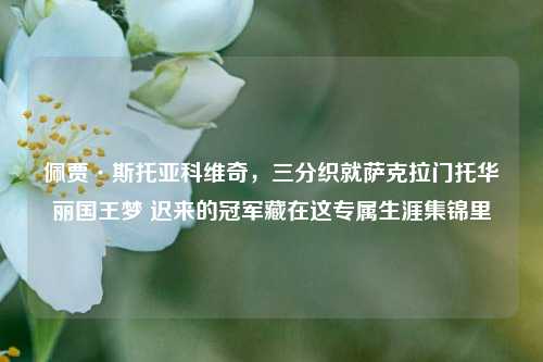 佩贾·斯托亚科维奇,三分织就萨克拉门托华丽国王梦 迟来的冠军藏在这专属生涯集锦里