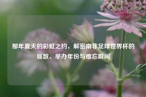 那年夏天的彩虹之约，解密南非足球世界杯的届数、举办年份与难忘瞬间