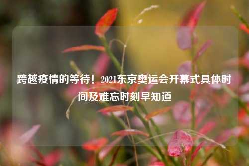 跨越疫情的等待!2021东京奥运会开幕式具体时间及难忘时刻早知道