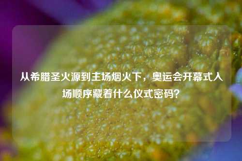 从希腊圣火源到主场烟火下,奥运会开幕式入场顺序藏着什么仪式密码?