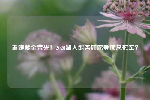 重铸紫金荣光!2020湖人能否如愿登顶总冠军?