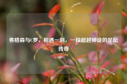 弗格森与C罗,相遇一刻,一段超越师徒的足坛传奇