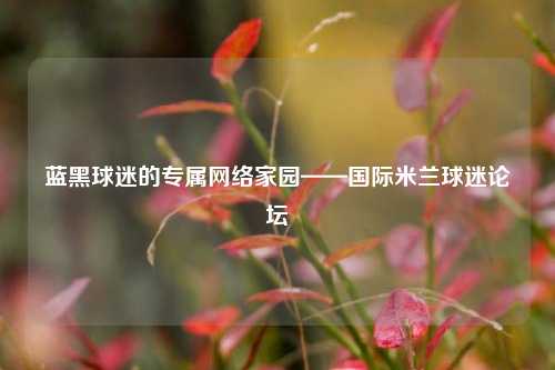 蓝黑球迷的专属 *** 家园——国际米兰球迷论坛
