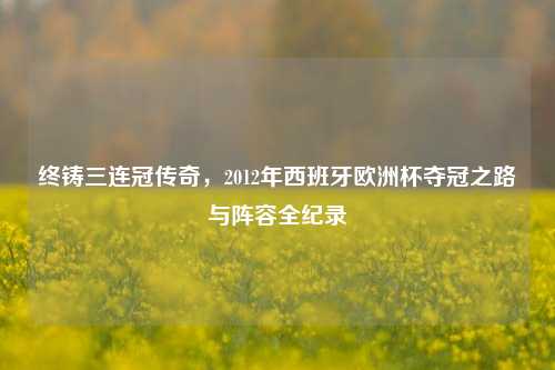 终铸三连冠传奇,2012年西班牙欧洲杯夺冠之路与阵容全纪录