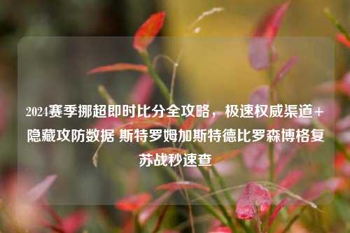 2024赛季挪超即时比分全攻略,极速权威渠道+隐藏攻防数据 斯特罗姆加斯特德比罗森博格复苏战秒速查